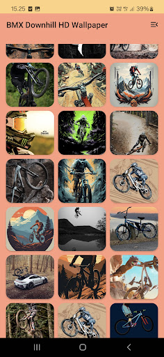 BMX Downhill HD Wallpaper