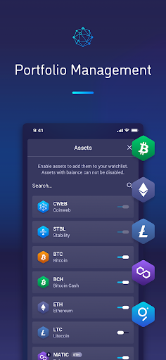 Screenshot of Coinweb Wallet