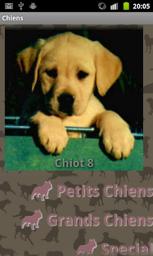 Dog Sounds Screen 3