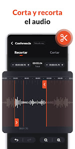 Imagen de la captura de pantalla
