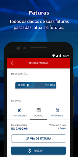 Tridico Pay Screen 3