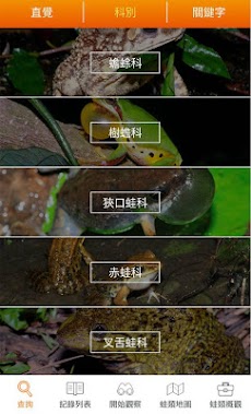 台灣蛙類圖鑑のおすすめ画像2