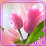 Cover Image of ดาวน์โหลด Tulips Delicate  APK