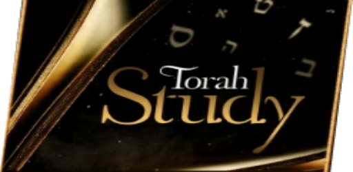 Torah Study