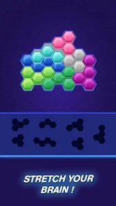 Hexa Puzzle Fun Block Puzzle
