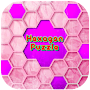 Hexagon Block Puzzle Fun