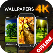 Wallpapers with trees - offline