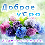 Cover Image of Download Good Morning in Russian  APK