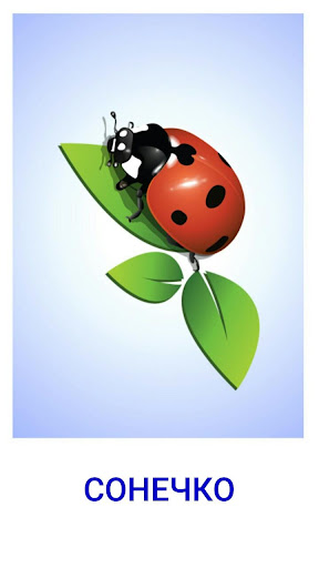 Вчимо слова по картках Домана