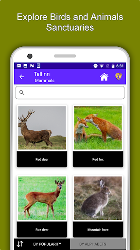 Tallinn Travel and Explore Offl