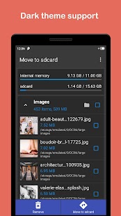 Move files to SD card Bildschirmfoto