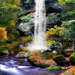 Cover Image of ダウンロード 3D Autumn Waterfall Wallpaper 1.0.8 APK