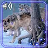 Download Winter Wolves Sounds on Windows PC for Free [Latest Version]