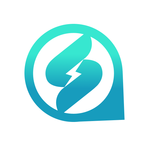 ChargeSini logo