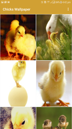 Chicks Wallpapers Screen 2