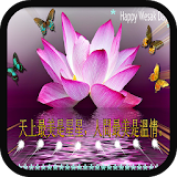 Vesak Day Cards icon