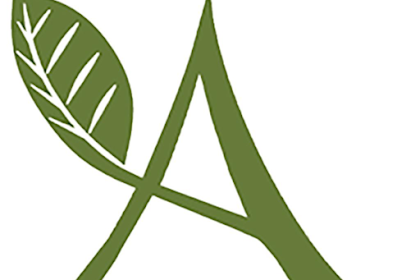 abundant life church kokomo app