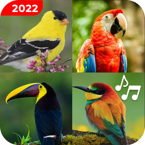 Birds Sounds Ringtones - Songs Download on Windows