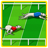 Dog Race Game icon