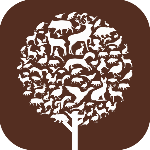 ChassAdapt logo