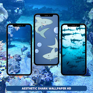 Shark Wallpaper HD