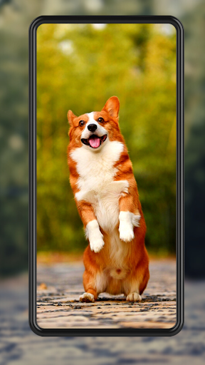 Fondo De Pantalla De Perros Screen 3