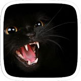 Black Mad Cat icon