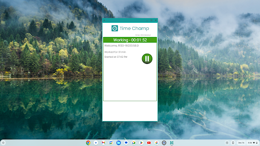 ChromeBook Agent by Time Champ