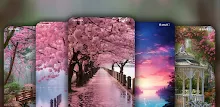 Spring Wallpaper Live In 4K APK