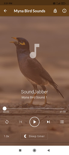 Mynas Bird Sounds Screen 2