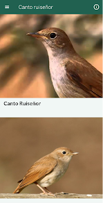 Captura de Pantalla 5 Ruiseñor android
