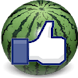 Watermelon 西瓜達人 - Androidアプリ
