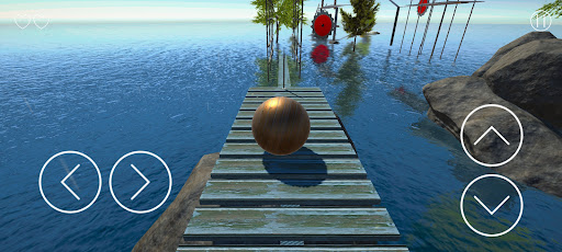 Balance Master Screen 3