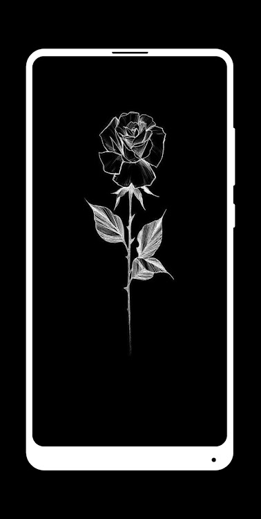 Black Rose Wallpaper by Jarkl Kia - (Android Apps) — AppAgg