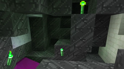 Craftsman Survival World