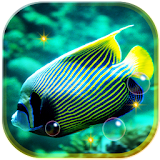 Fishes Sea Tropical icon