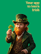 screenshot of Learn Irish - Beginners