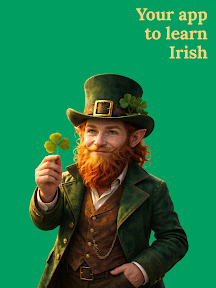 Learn Irish - Beginners screenshot