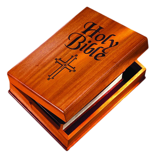 POCKET BIBLE logo