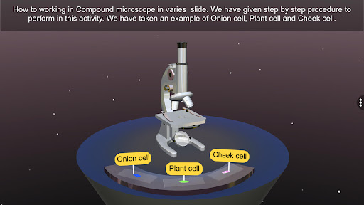 The Compound Microscope