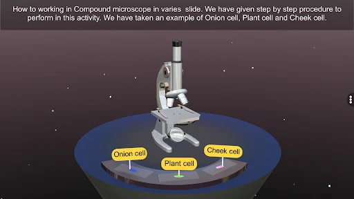 The Compound Microscope