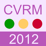 CVRM risicometer icon