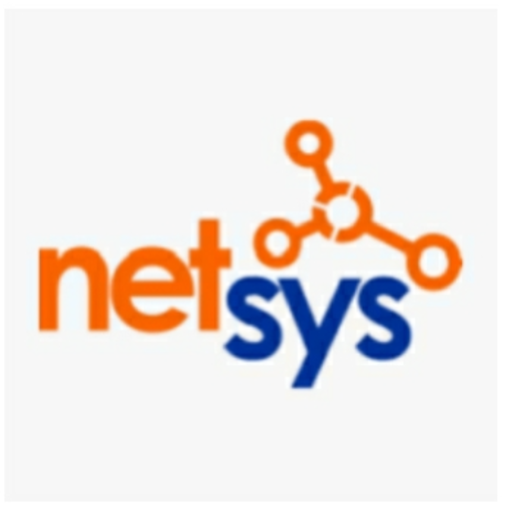 NETSYS INFOTECH logo