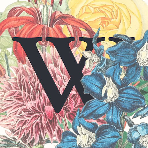 Wither logo