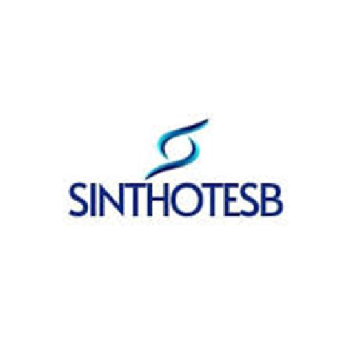Sindicato Sinthotesb logo