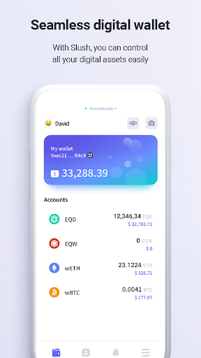 Slush Wallet Screen 3