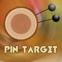 Pin Target