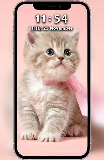 Cat Wallpaper HD Screenshot 4 - AppWisp.com