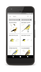 screenshot of Collins Bird Guide