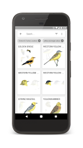 Collins Bird Guide – Apps on Google Play Collins Bird Guide – Apps on Google Play